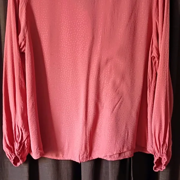 KELLY RENEE - Picture 6 of 6